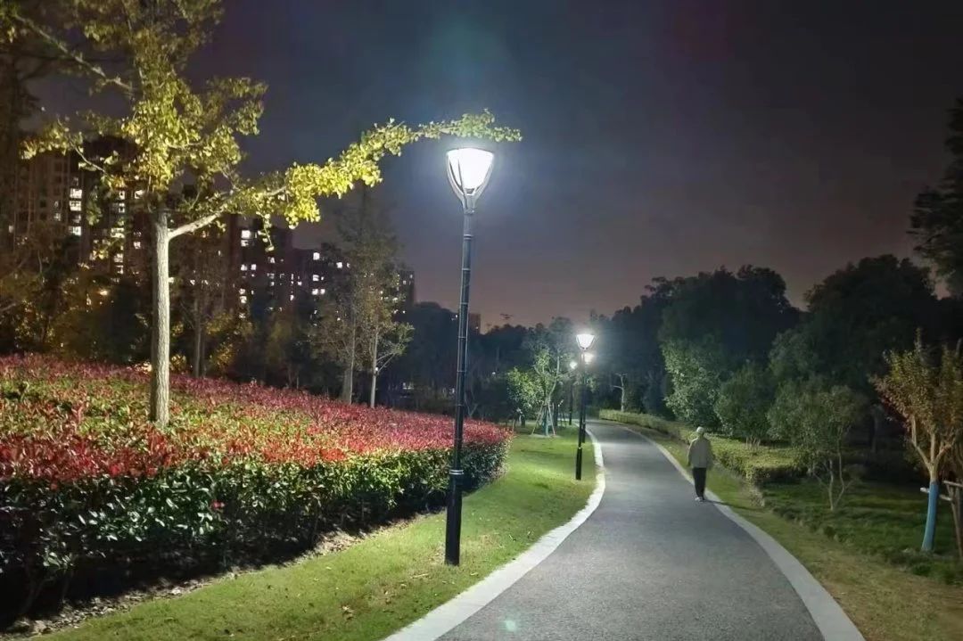 上海奉賢區(qū)金匯鎮(zhèn)賢雅苑綠地60個庭院照明燈正式亮燈---豐朗光電
